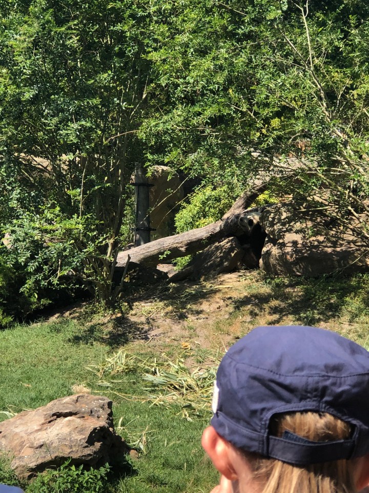 70617304_372505900291613_2648268176059531264_n