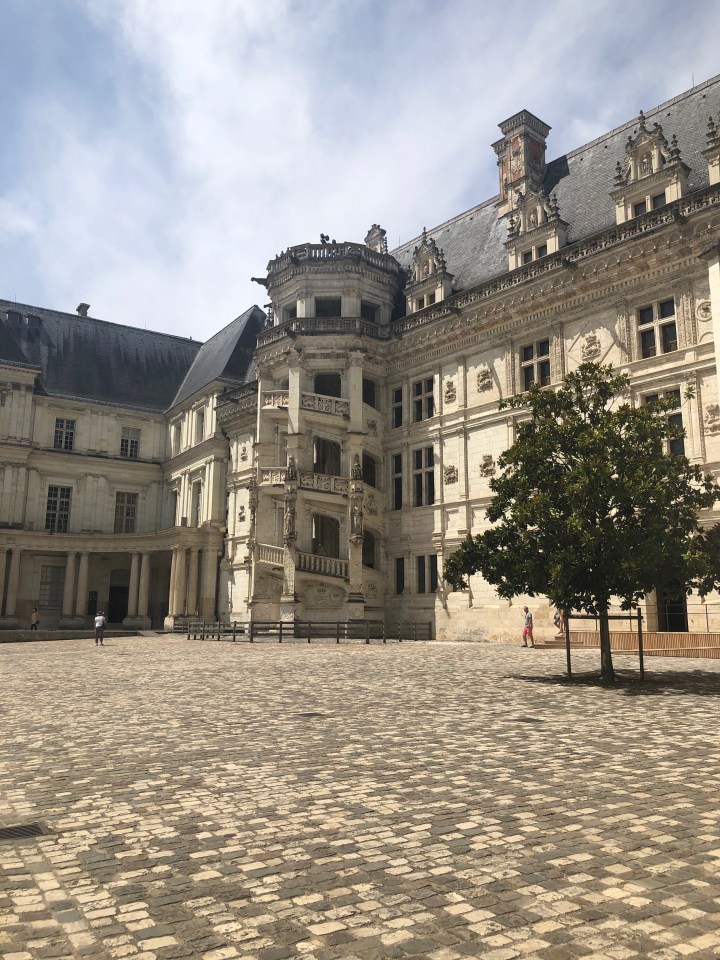 70628353_2446427368958744_3317753079566172160_n