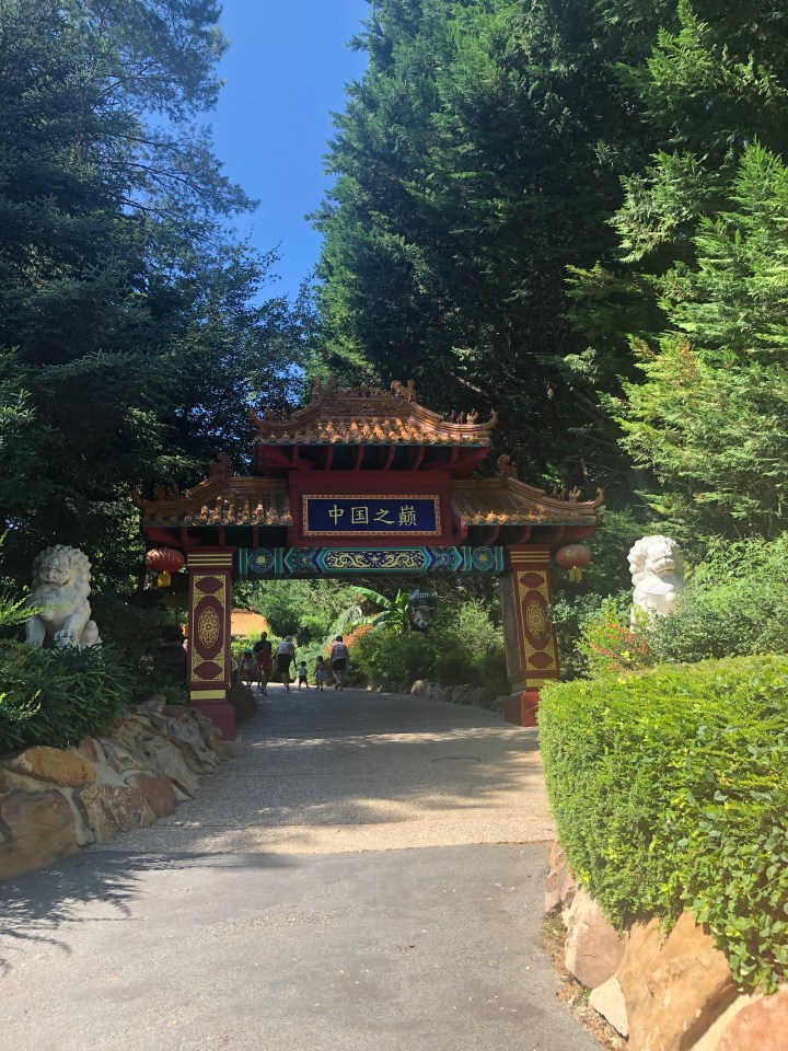 70741530_367881167431553_760472604556394496_n