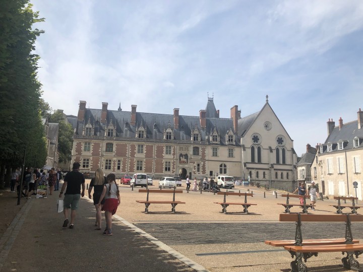 70880019_519152928652162_5921217209060818944_n