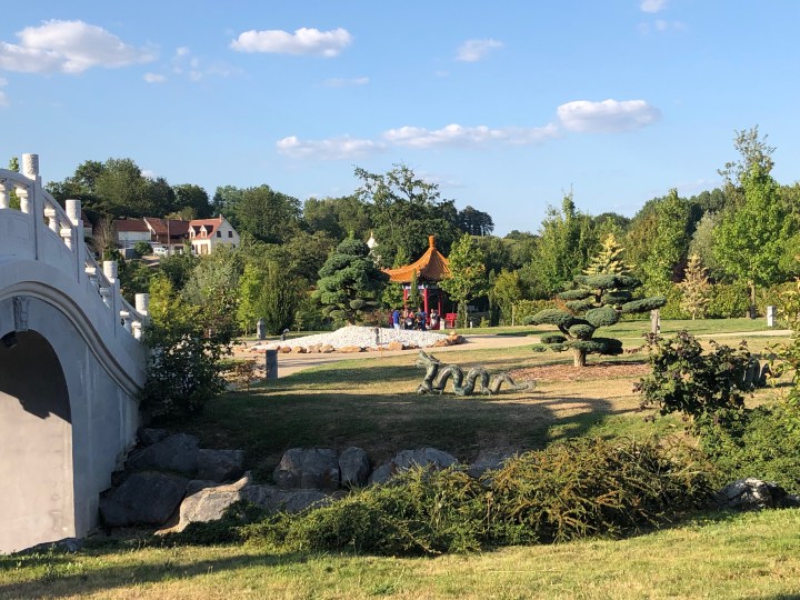 71116670_920796851589002_6824885694008131584_n