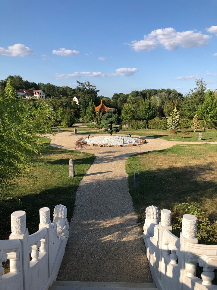 71674259_2611406458903366_5349936088532123648_n